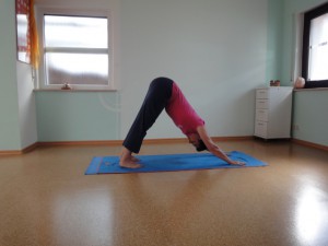 adhomukhasvanasana